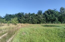 Teren, 1200 mp, toate utilitățile, Feleacu