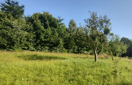 Teren, 1200 mp, toate utilitățile, Feleacu