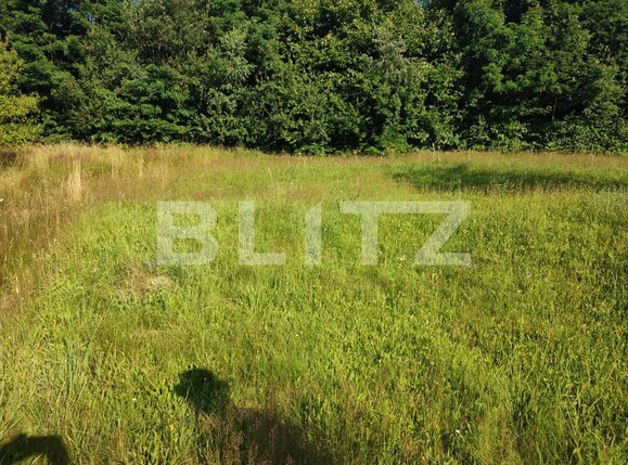 Teren construibil utilități Cluj | Poza4