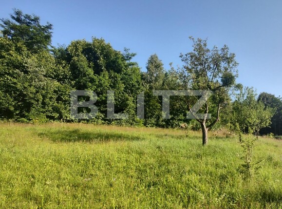 Teren construibil utilități Cluj | Poza1