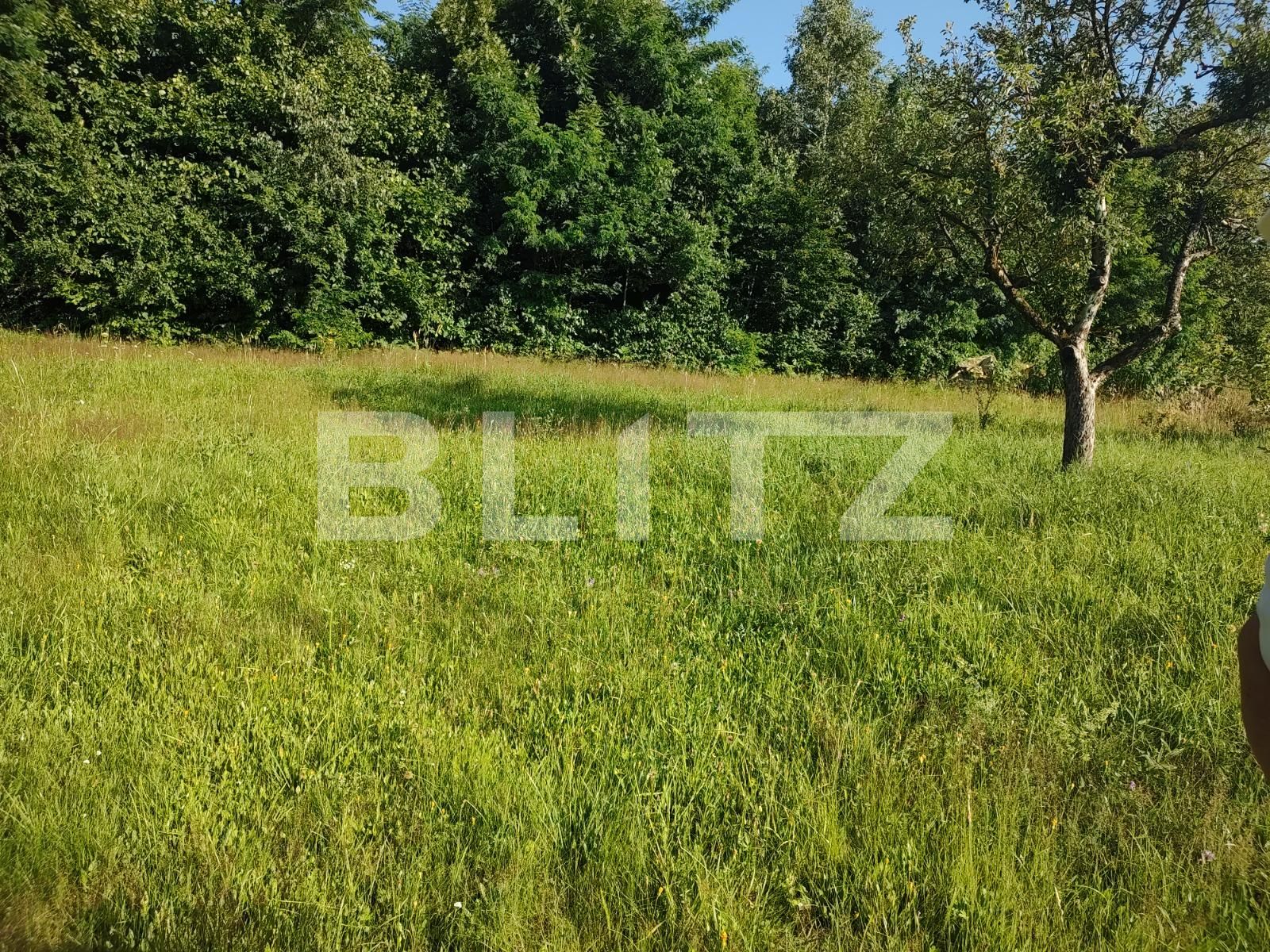 Teren construibil utilități Cluj | Poza3