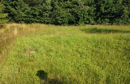 Teren, 700 mp construibil, toate utilitățile, Feleacu