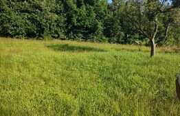 Teren, 700 mp construibil, toate utilitățile, Feleacu