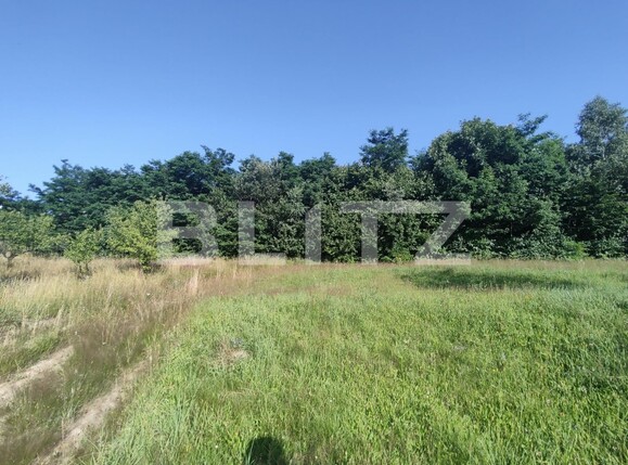 Teren construibil utilități Cluj | Poza2