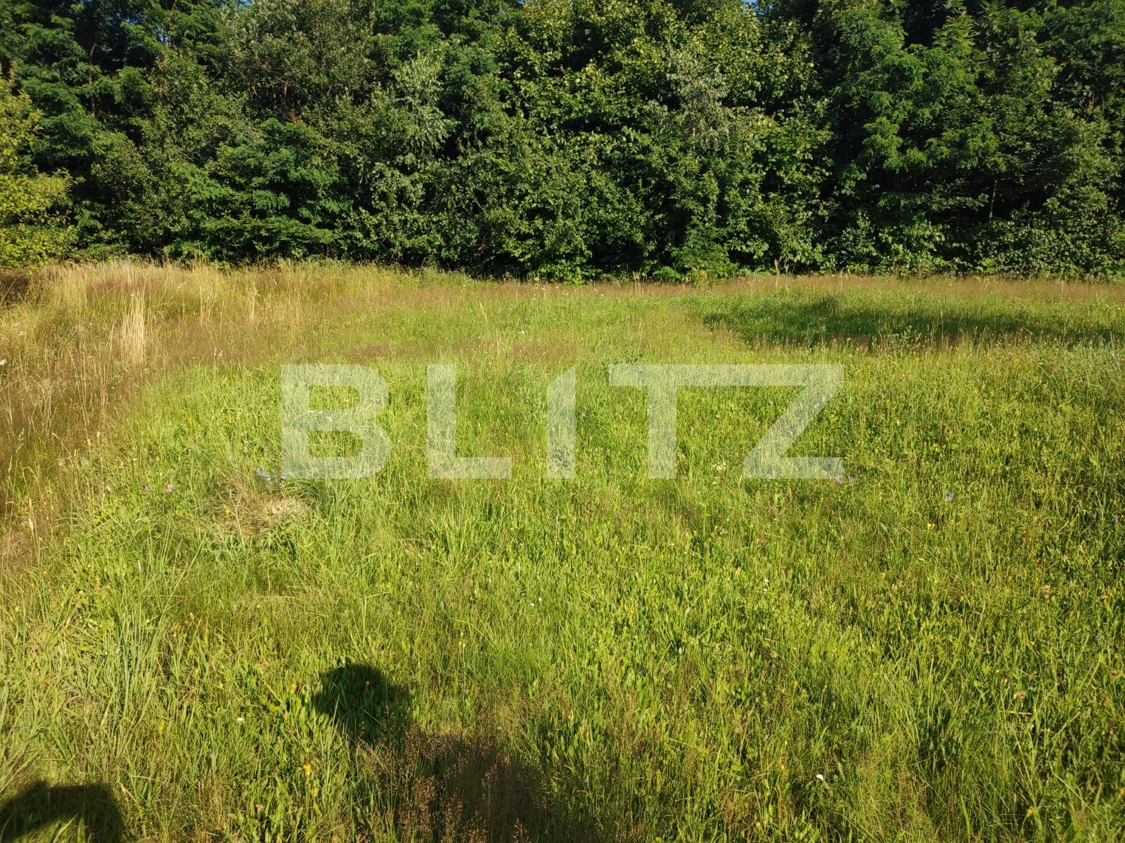 Teren construibil utilități Cluj | Poza3