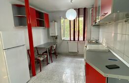 Apartament de 2 camere, 54 mp, etaj 1, Gheorgheni