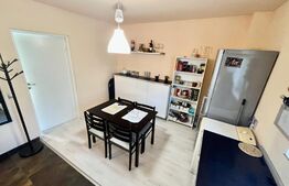 Apartament 1 camera, 33 mp, parcare, zona Muzeul Apei