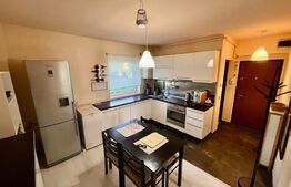 Apartament 1 camera, 33 mp, parcare, zona Muzeul Apei