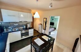 Apartament 1 camera, 33 mp, parcare, zona Muzeul Apei