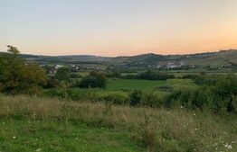 In Exclusivitate! Teren intravilan 18000 mp, Sopor