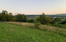 In Exclusivitate! Teren intravilan 18000 mp, Sopor