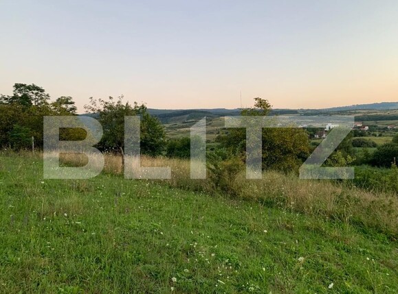 Teren de vânzare Sopor - 122551TV | BLITZ Cluj-Napoca | Poza3