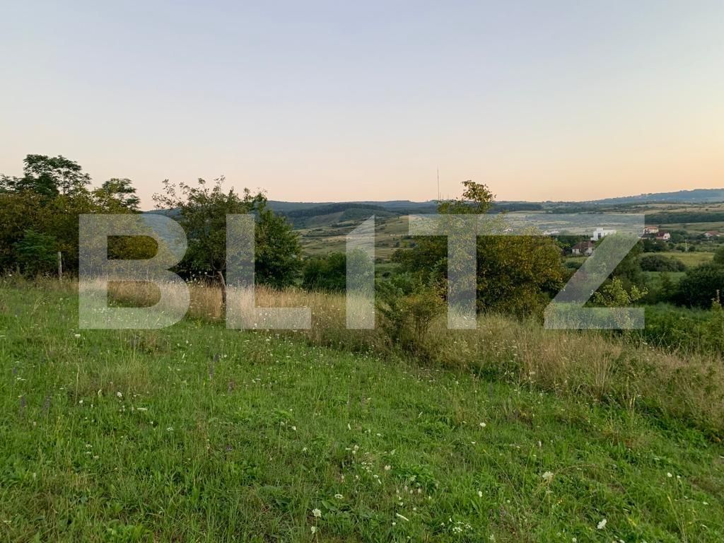 Teren de vânzare Sopor - 122551TV | BLITZ Cluj-Napoca | Poza3