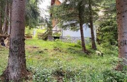 Cabana 3 camere, 67mp, 300 mp teren, Statiunea Muntele Baisorii