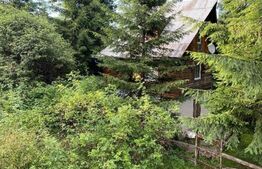 Cabana 3 camere, 67mp, 300 mp teren, Statiunea Muntele Baisorii