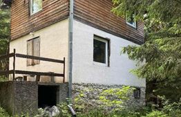 Cabana 3 camere, 67mp, 300 mp teren, Statiunea Muntele Baisorii