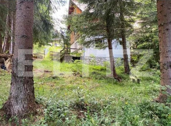 Casa de vânzare 3 camere Muntele Băişorii - 122593CV | BLITZ Cluj-Napoca | Poza3