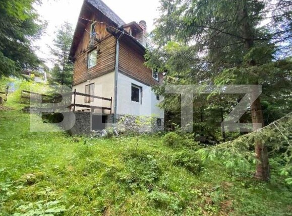 Casa de vânzare 3 camere Muntele Băişorii - 122593CV | BLITZ Cluj-Napoca | Poza1