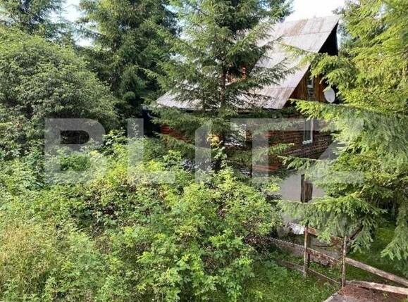 Casa de vânzare 3 camere Muntele Băişorii - 122593CV | BLITZ Cluj-Napoca | Poza2