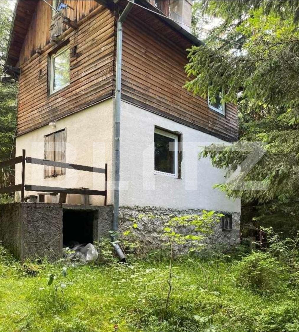 Casa de vânzare 3 camere Muntele Băişorii - 122593CV | BLITZ Cluj-Napoca | Poza4