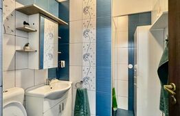 Apartament 1 camera, 40mp, decomandat, zona Traian Vuia