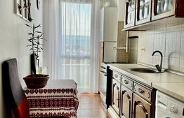 Apartament 1 camera, 40mp, decomandat, zona Traian Vuia