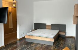 Apartament 1 camera, 47mp, lux, parcare, zona Tauti