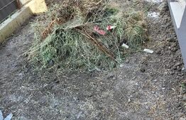 Apartament 3 camere, 66mp, semifinisat, parcare, gradina, zona Cetatii