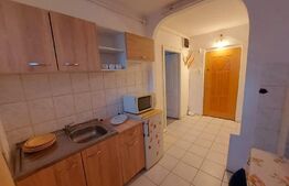 Apartament 2 camere, 40 mp, pet friendly, zona Bucium