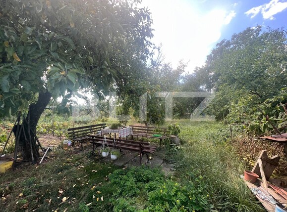 Casa de vânzare 5 camere Marasti - 122889CV | BLITZ Cluj-Napoca | Poza3