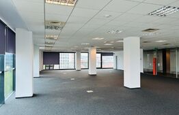 Office clasa A, 580 mp, birouri finisate, zona The Office