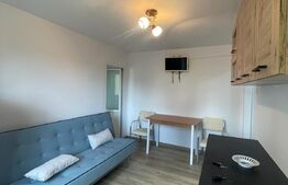 Apartament 2 camere, 30 mp, zona strazii Albac