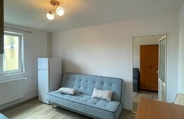 Apartament 2 camere, 30 mp, zona strazii Albac