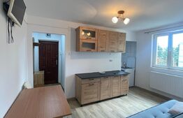 Apartament 2 camere, 30 mp, zona strazii Albac