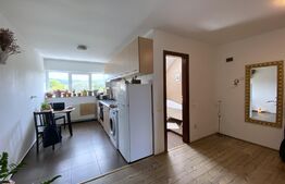 Apartament 2 camere, 45 mp utili, parcare, zona Frunzisului