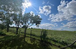 Excusiv Blitz - Comision 0! Teren intravilan, 15 000 mp, toate utilitatile la frontul terenului, zona Estica