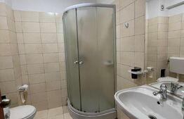 Garsoniera, 25 mp, pet friendly, zona Petrom 