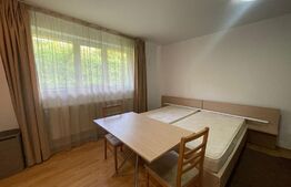 Garsoniera, 25 mp, pet friendly, zona Petrom 