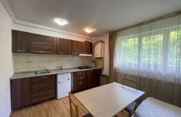 Garsoniera, 25 mp, pet friendly, zona Petrom 