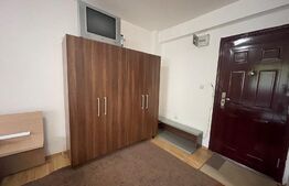 Garsoniera, 25 mp, pet friendly, zona Petrom 