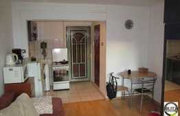 Garsoniera de vanzare 22 mp, mobilata si utilata, izolata, zona strazii Cojocnei