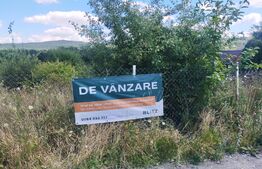 Teren intravilan 1750 mp in Salicea