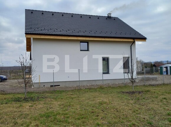 Casa de vânzare 4 camere Mihai Viteazu - 123156CV | BLITZ Cluj-Napoca | Poza10