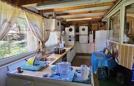 EXCLUSIVITATE-COMISION 0%, Casa de vacanta, 3 camere, teren 838 mp, 110 mp, Marisel