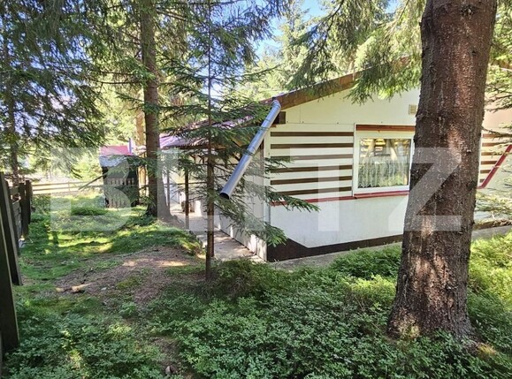 Casa de vânzare 3 camere Mărişel - 123214CV | BLITZ Cluj-Napoca | Poza3