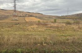 Teren extravilan 5744 mp in Valea Calda 