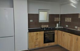 Casa 3 camere, 150 mp, parcare, terasa, zona Avram Iancu 