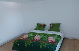 Casa 3 camere, 150 mp, parcare, terasa, zona Avram Iancu 