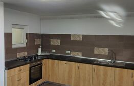 Casa 3 camere, 150 mp, parcare, terasa, zona Avram Iancu 