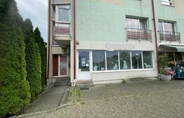 Spatiu comercial de 52 mp cu pozitionare stradala